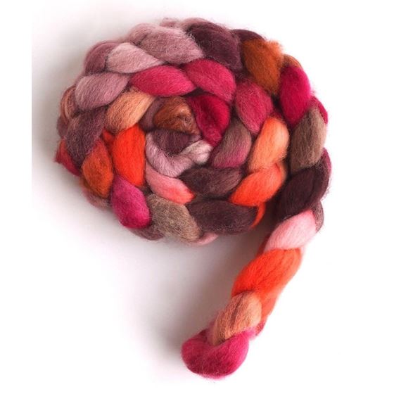 Piquant - Falkland Wool Roving